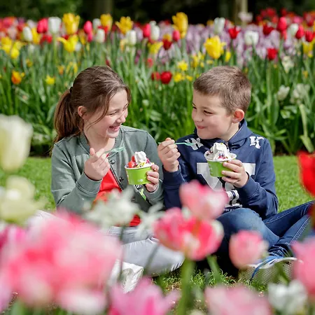 Hotel Ibis Styles Haarlem