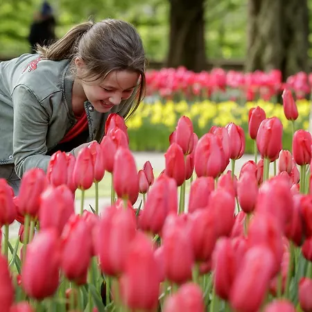 Hotel Ibis Styles Haarlem