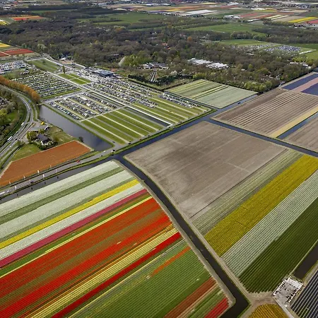 Ibis Styles Hotel 3*