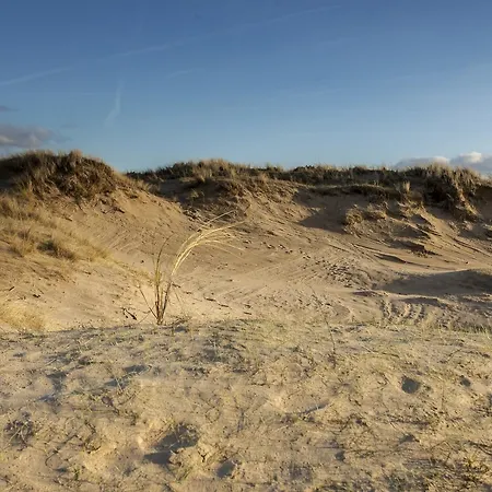 Hotel Ibis Styles Haarlem