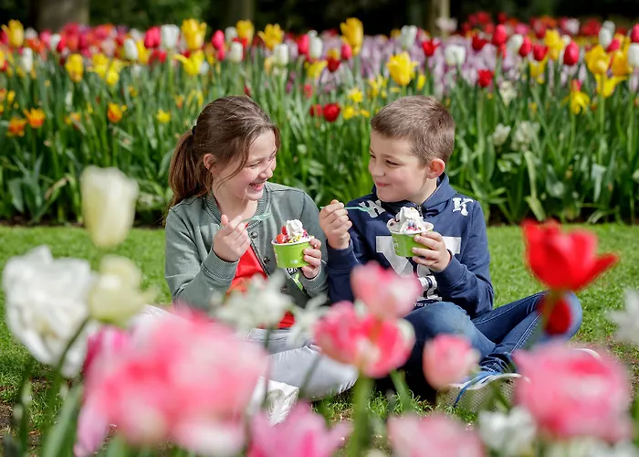 Hotel Ibis Styles Haarlem