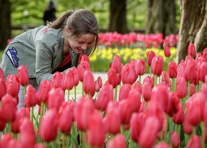 ホテル Ibis Styles ハーレム