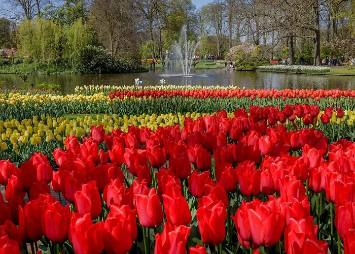 Ibis Styles Hotel 3*