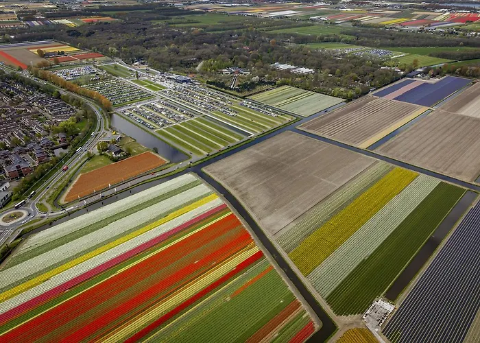 Ibis Styles Hotel 3*