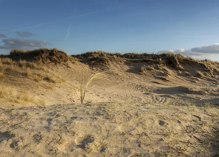 Hotel Ibis Styles Haarlem